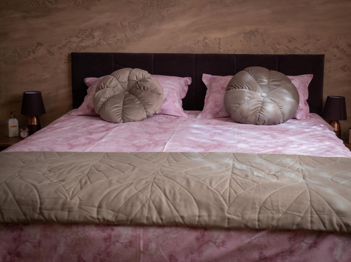Cozy Apartment Tarnovo 大特尔诺沃 外观 照片